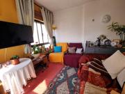 Top Armação de Pêra