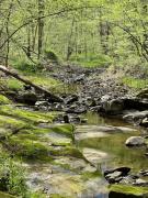 Retreat on Lake Milton