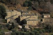 Top Cortona