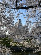 AURA Resort Nara (Adult Only) AURA Resort Nara (Adult Only)