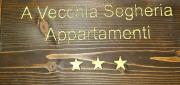 Top Tolmin