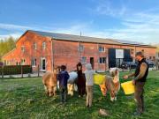 DE SMISHOEVE met kinderpret, dieren en wellness DE SMISHOEVE met kinderpret, dieren en wellness