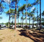 Top Saint-Julien-en-Born