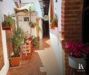 Top San Cristóbal de Las Casas