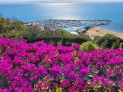 Top Sidi Bou Said