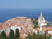 Top Piran