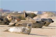 Top Berck-sur-Mer