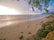 Top Laie