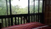 Top Marloth Park