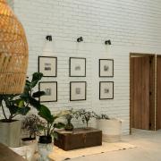 Top Circasia Top Circasia