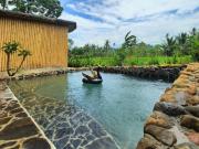 Sawah Ijen Sawah Ijen