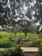 Top Santa Croce Camerina