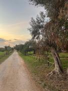 Top Santa Croce Camerina