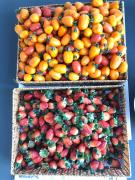 Top Da Lat Top Da Lat