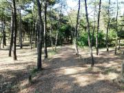 Top Les Sables-dʼOlonne