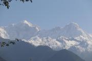 Top Gupta Kāshi