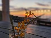 Top Cascabraga Top Cascabraga