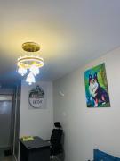 Homes by Shii Homes by Shii