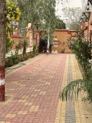 Top Agroha