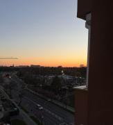 Top Timişoara Top Timişoara