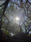 Top Capilla del Monte