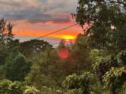 Top Alajuela