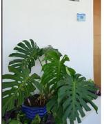 Top Cartagena de Indias