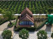 Top Bâu Ruộng (1)