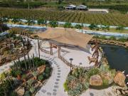 Top Bâu Ruộng (1)