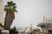 Top Larnaka