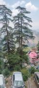 Top Shimla