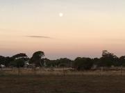 3 Campsites ONLY for Self contained Motor Homes RVs ONLY! BYO Toilet and bed! DIDO Spirit of Tasmania Stopover