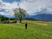 Top Brunico