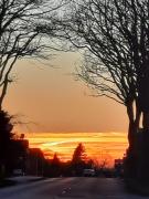 Top Rostock Top Rostock