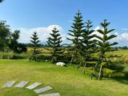 Top Ban Wak Top Ban Wak