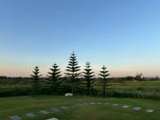 Top Ban Wak Top Ban Wak