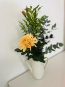 Top Nürnberg Top Nürnberg