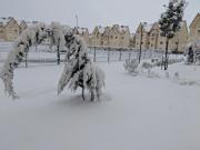 Les jardins dIfrane 100