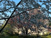 Top Saint-Pierre-Azif