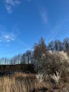 Top Lutol Mokry Top Lutol Mokry