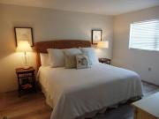 Top New Smyrna Beach