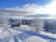 Top Bistriţa Top Bistriţa