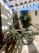 Top Playa del Carmen