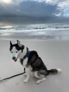 Top Rosignano Marittimo