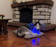 Top Rosignano Marittimo