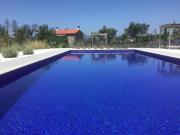 Orange Olives - Quinta Chao de Galizes