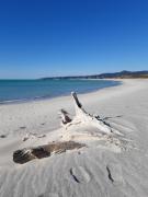 Top Rosignano Marittimo