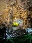 Top Azoyirás Top Azoyirás