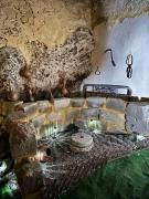 Top Azoyirás Top Azoyirás