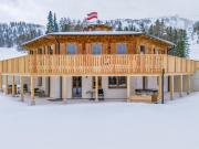 Deluxe Zirberl Top 5